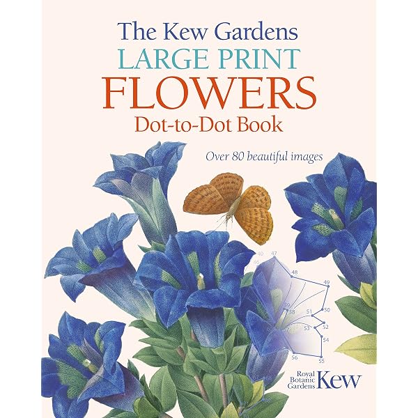 英国　Kew Garden オーキッドのスケッチのプリント木製フレ入り付き The Kew Gardens Large Print Dot-to-Dot Flowers Book: David