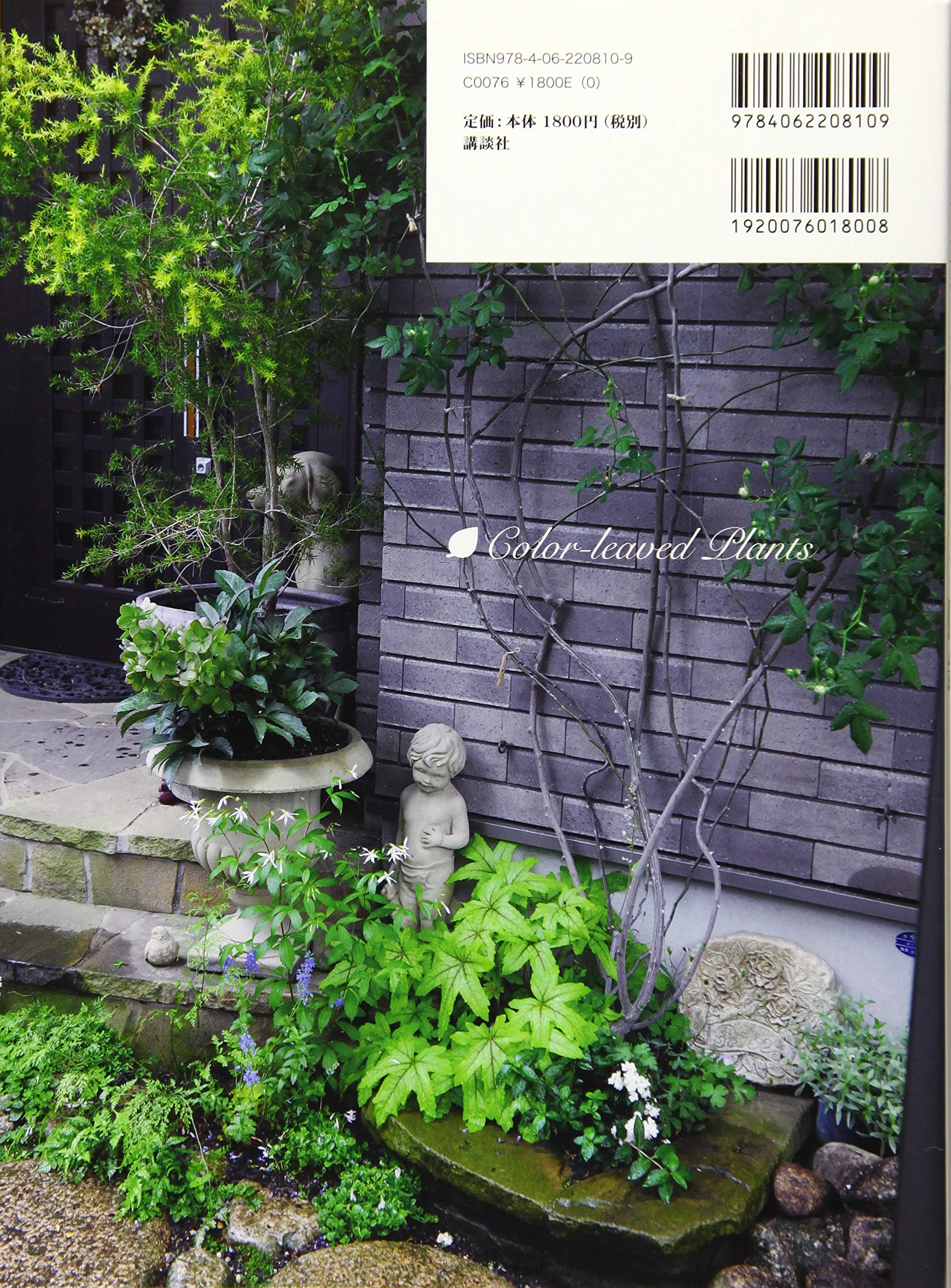 カラーリーフ図鑑 明度と高さの組み合わせで庭をグレードアップする 山本 規詔 本 通販 Amazon