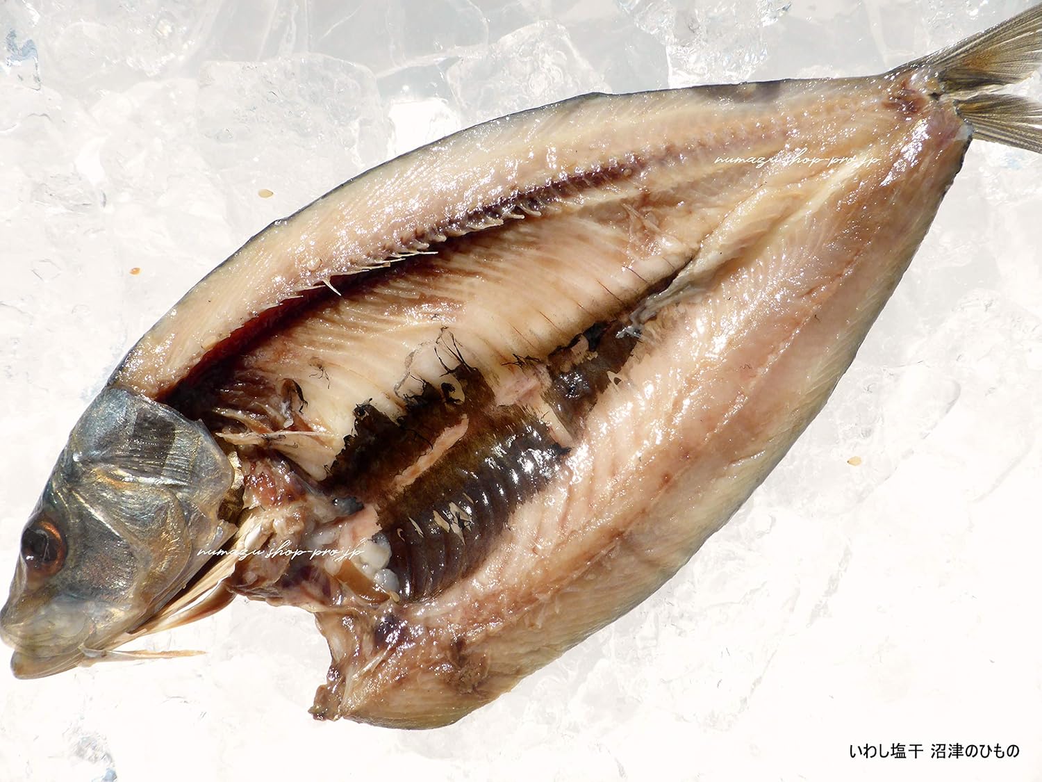 Amazon 脂したたる とろイワシ塩 15枚 マルサ水産 沼津のひもの 干物 燻製 通販