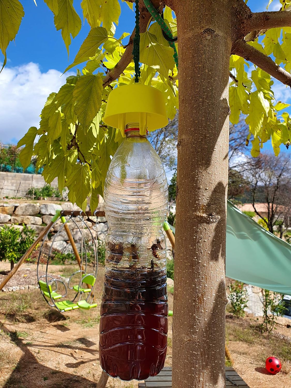 Terra Nostra Trap for Wasp Hornets, Fruit Flies and Olive Flies. Economic, Comes with Bait Recipes, White / Green, Tap Trap x1 - Image 5