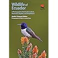 Wildlife of Ecuador: A Photographic Field Guide to Birds, Mammals, Reptiles, and Amphibians (Wildlife Explorer Guides)