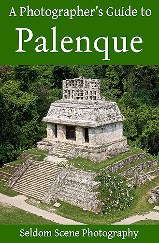 Download A Photographer's Guide to Palenque (English Edition) PDF