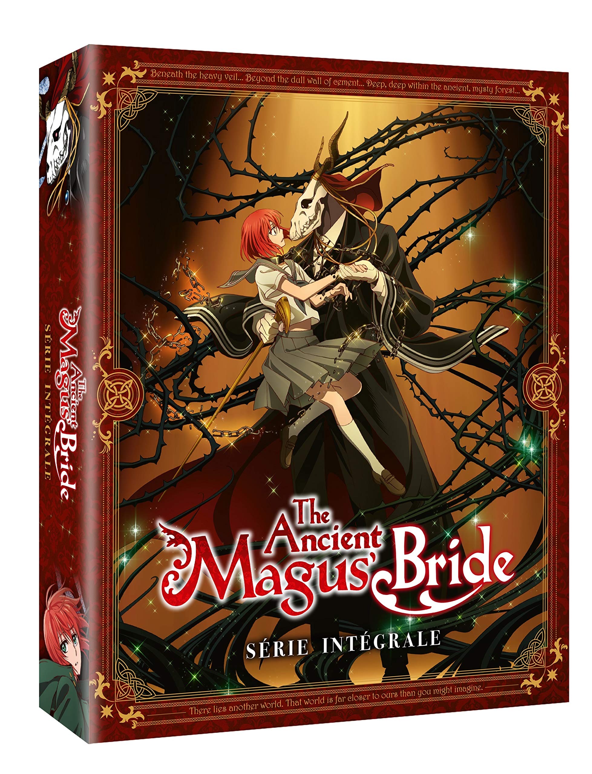 The Ancient Magus Bride Integrale Saison 1 Edition Collector — image 1