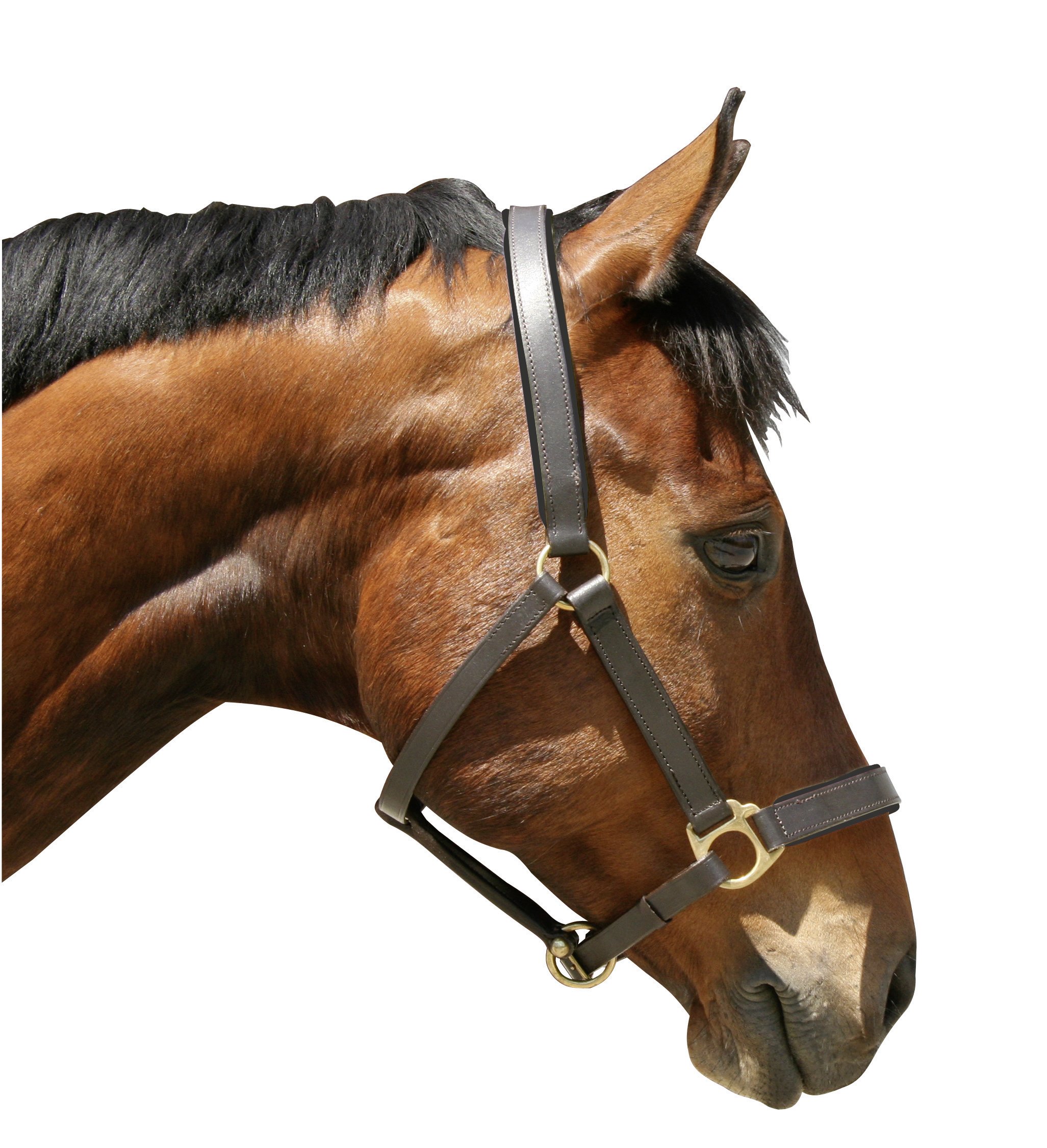 Kerbl Eco Head Collar - Brown, Size 4
