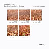 Hemway Bronze Brown Holographic Glitter Paint Additive 100g view 8