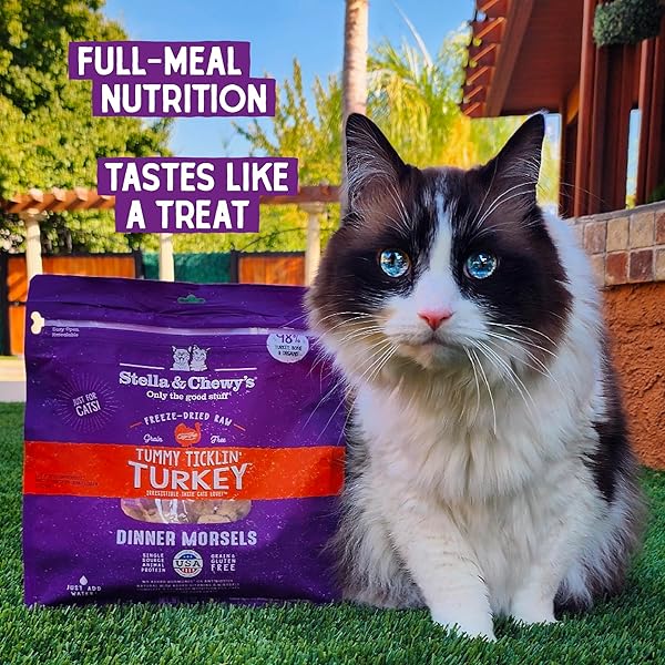 STELLA & CHEWY’S FREEZE-DRIED RAW CAT DINNER MORSELS – GRAIN FREE, PROTEIN RICH CAT & KITTEN FOOD – TUMMY TICKLIN’ TURKEY RECIPE – 8 OZ BAG