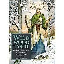 The Wild Wood Tarot: Wherein Widsom Resides: Ryan, Mark, Matthews