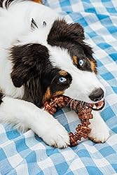 Nylabone Power Chew Textured Dog Chew Ring Toy, Dog