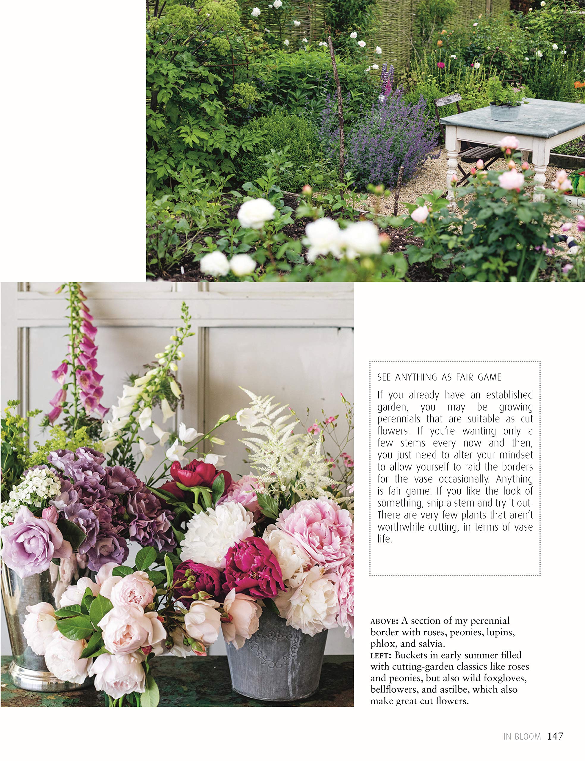 In Bloom: Growing, Harvesting, and Arranging Homegrown Flowers All Year Round (CompanionHouse Books) Create a Perfect Garden of Color, Texture, & Shape with Annuals, Perennials, Shrubs, Trees, & More
