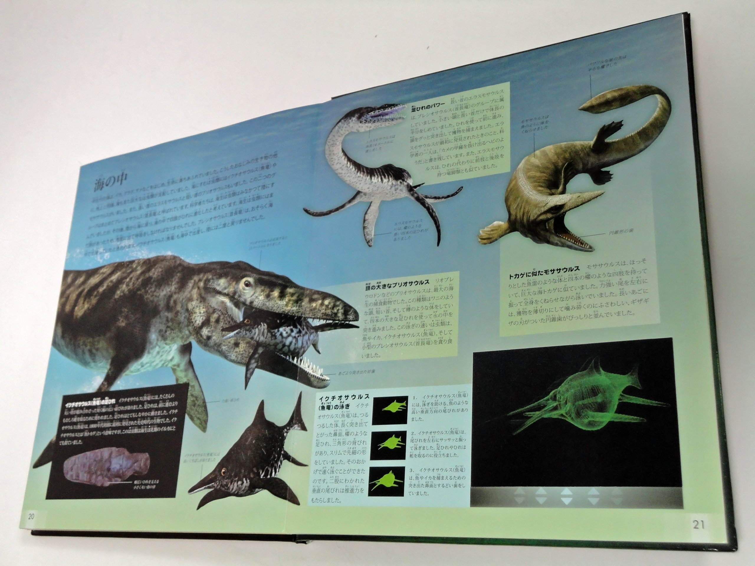 Kyoi Ryui No Nazo Editor Toi Kyoi Dainihonkaiga 12 Amazon Com Books