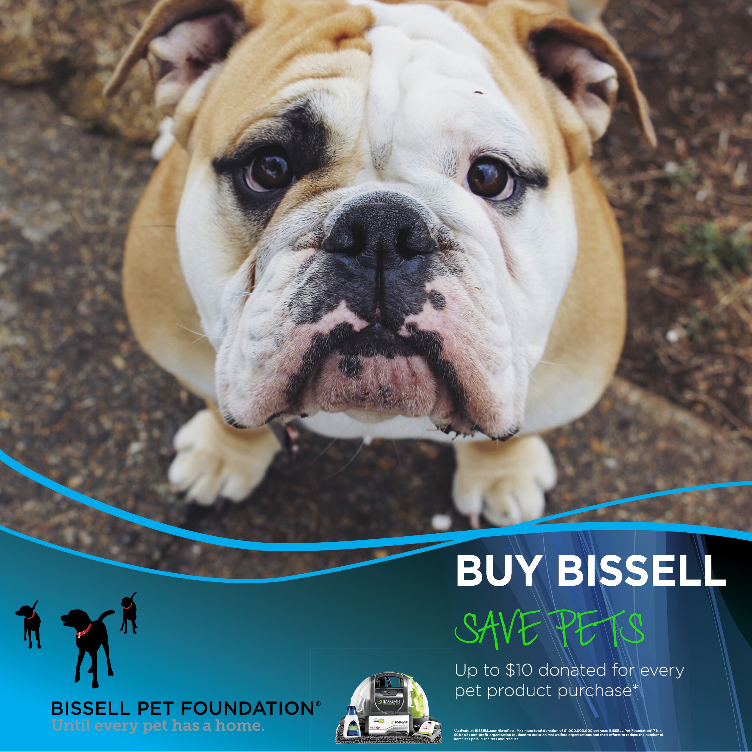 BISSELL BARKBATH Portable Dog Bath and Grooming System, 1844A