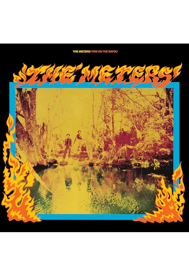 Amazon.com: Meters: CDs & Vinyl