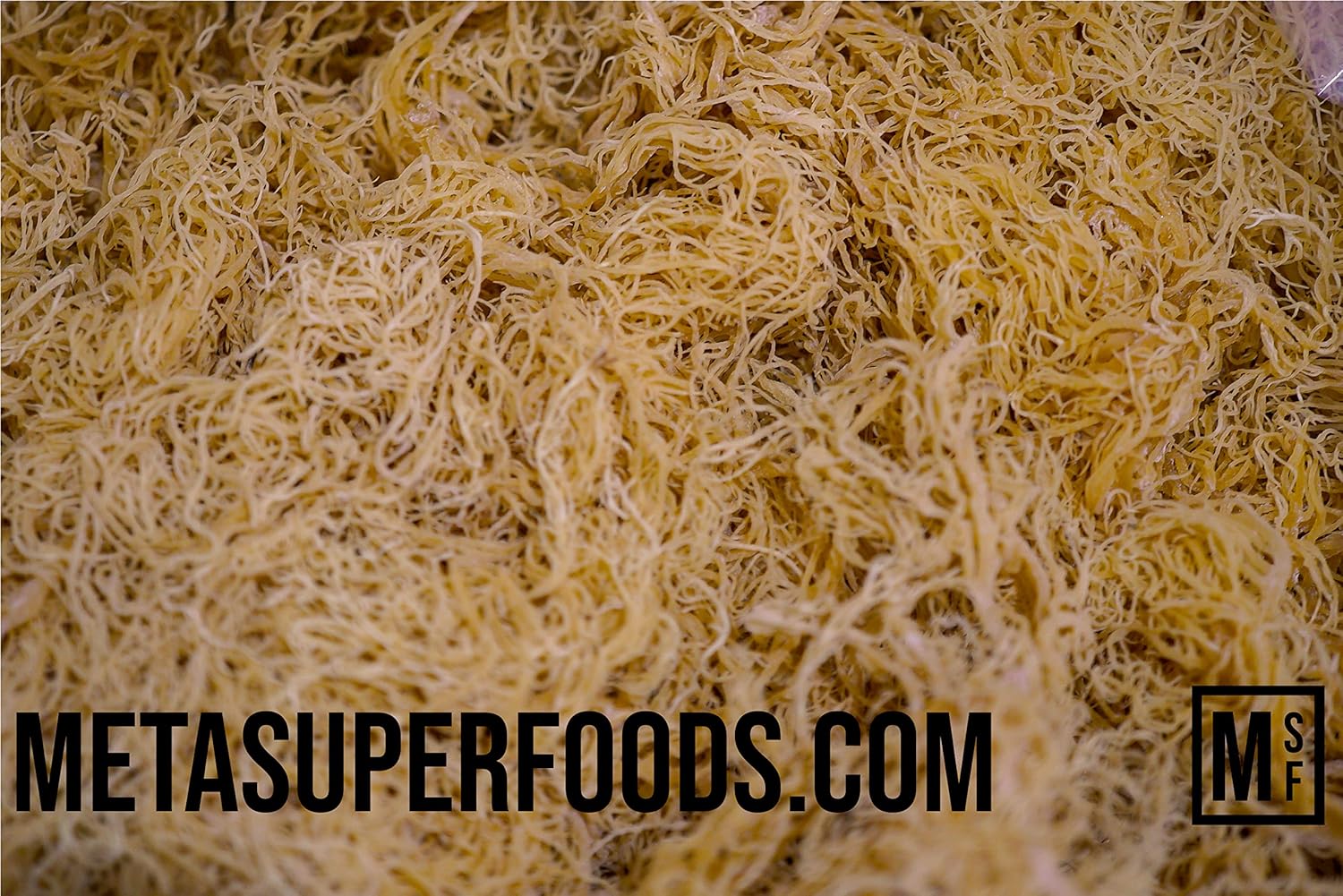 Dried Irish Sea Moss 100g, 100 g (Pack of 1) - Image 4
