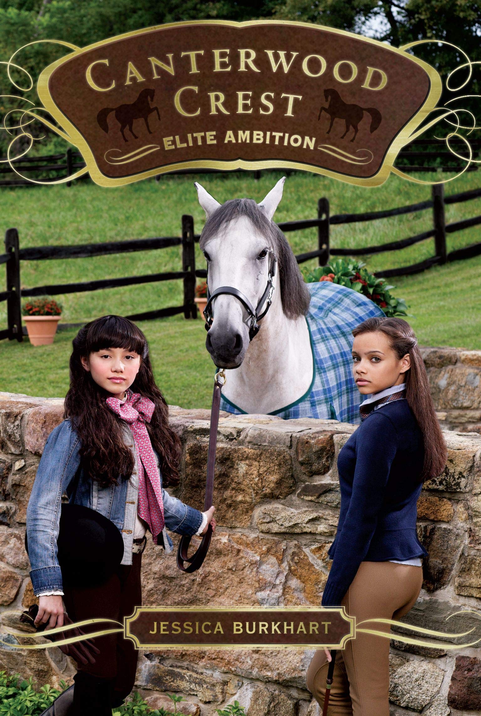 Elite Ambition (Canterwood Crest) (9781442403826)
