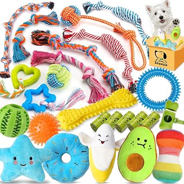 Amazon Best Sellers: Best Dog Squeak Toys