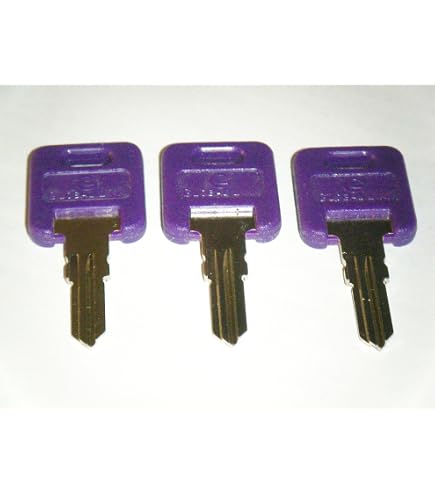 Global Link OEM Precut Purple RV Trailer Camper Keys – 2-Pack (G301-G391) G388