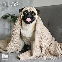 July 2025- December 2026 Pugs Wall Calendar 18