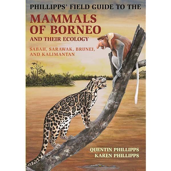 Wild Borneo: The Wildlife and Scenery of Sabah, Sarawak, Brunei