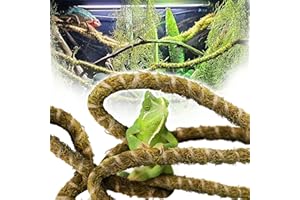 Duspro 6.5FT Reptile Vine & Moss Set for Climbing Bendable Branch, Natural Moss Rope Jungle Decor for Bearded Dragon, Chameleon Tank Accessories, Snake Gecko Lizard Terrarium