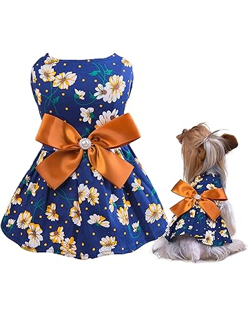 dog dresses canada