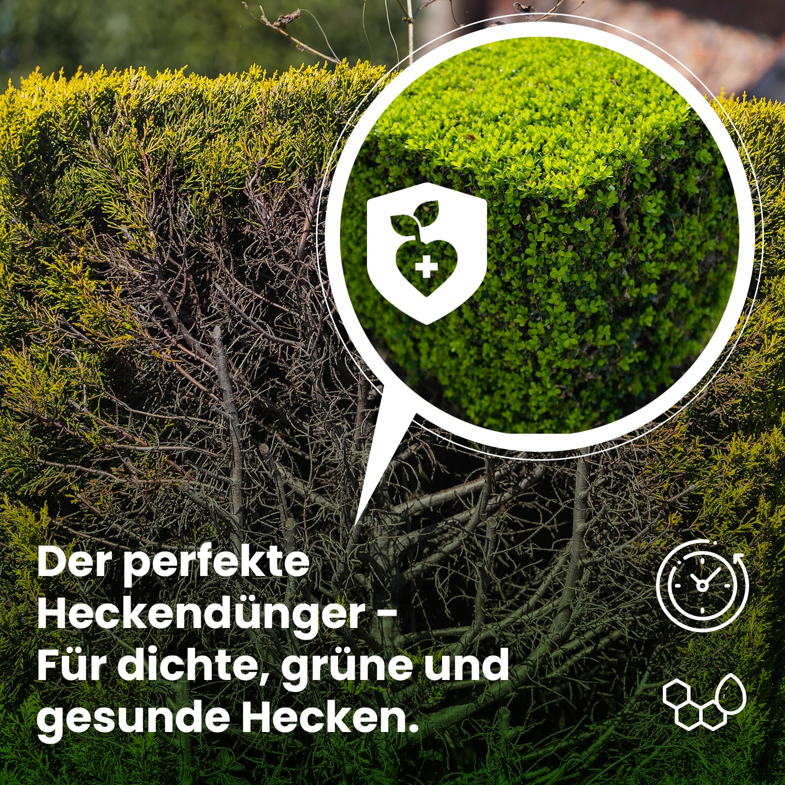 LERAVA Heckendünger (35 Laufmeter) Bio - mit Zeolith für nachhaltige Nährstoffversorgung - fördert dichtes, starkes Wachstum & grüne Hecken - schützt vor Trockenheit & Stress - einfache Anwendung 3