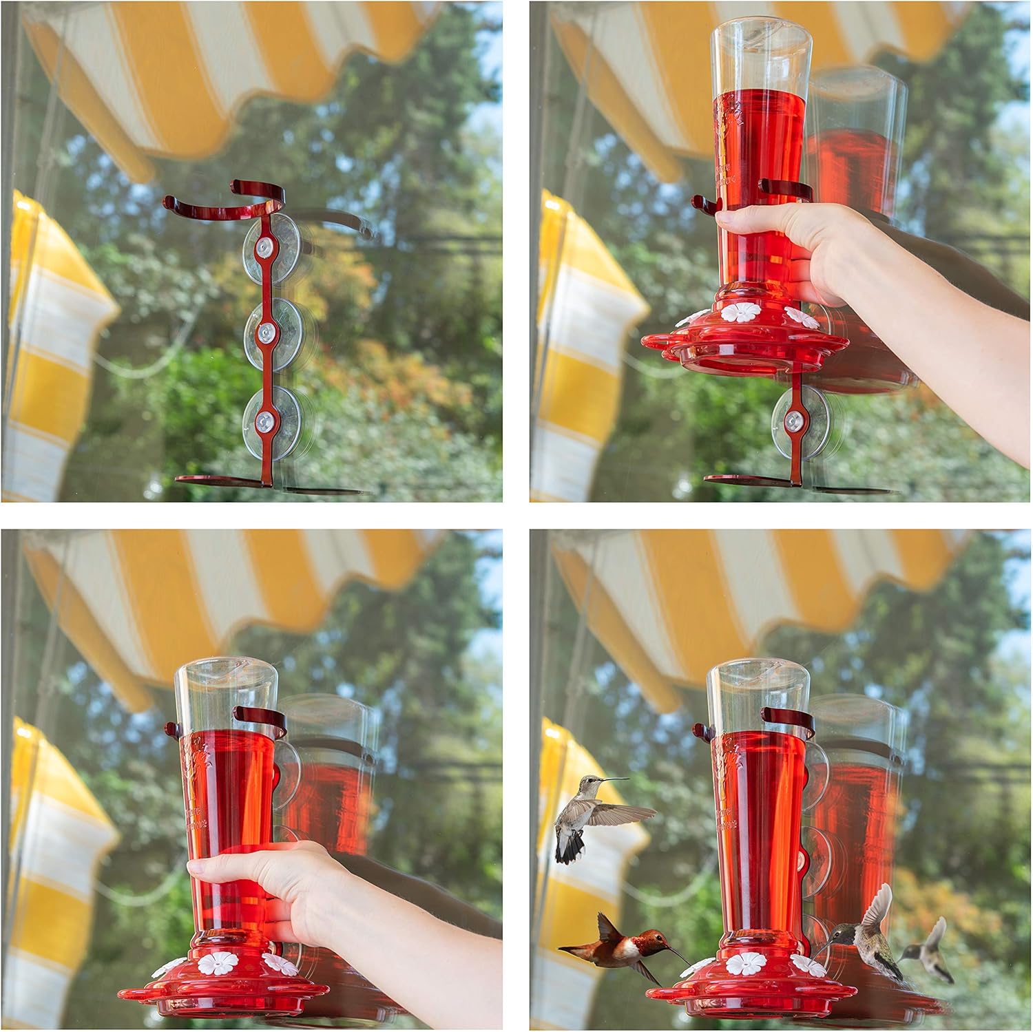 Nature Anywhere Window Hummingbird Feeders for Outdoors Including 3 Colors of Interchangeable Flowers for Hummingbirds Food and Nectar (Large) : Garden & Outdoor