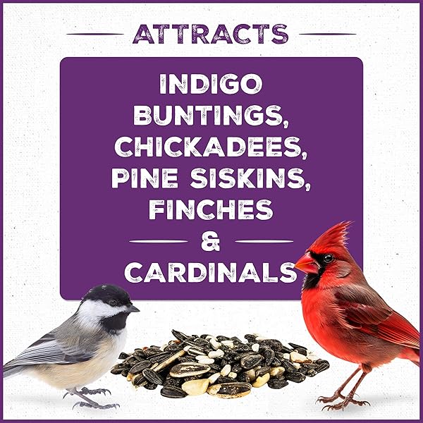 PENNINGTON PRIDE SONGBIRD NUT & FRUIT BLEND, WILD BIRD SEED FOR OUTSIDE FEEDERS, ADVANCED NUTRITION FORMULA FOR BIRD HEALTH, 10-LB. BAG