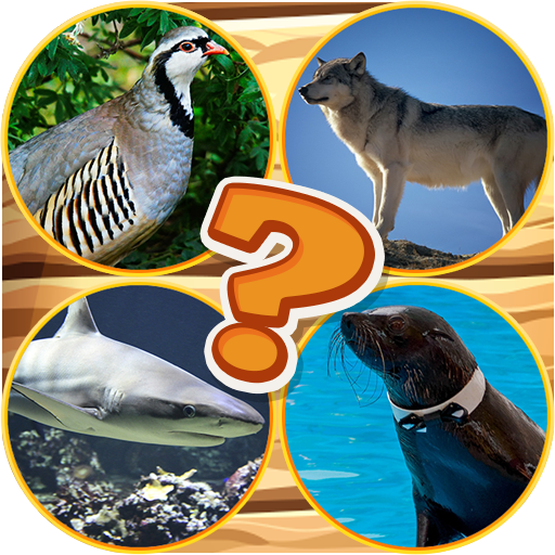 quiz guess the animal