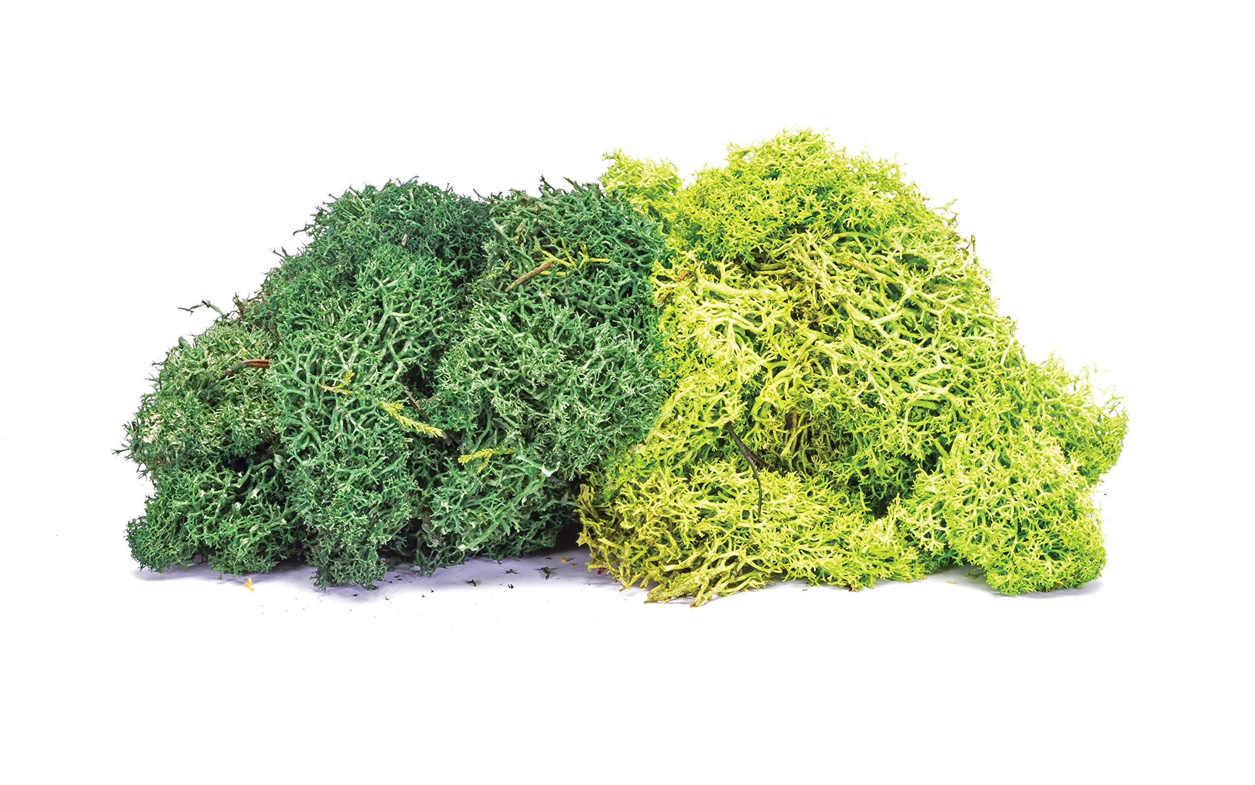 Hornby R7195 Lichen - Large Green Mix for Model Railway OO Gauge, Model Train Accessories for Adding Scenery, Dioramas, Woodland, Buildings and More, Model Making Kits - 1:76 Scale Model Accessory
