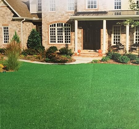 Rasendünger Langzeitwirkung Rasen Dünger 3 Kg (Lieferung 1x 3 kg) für ca. 130qm