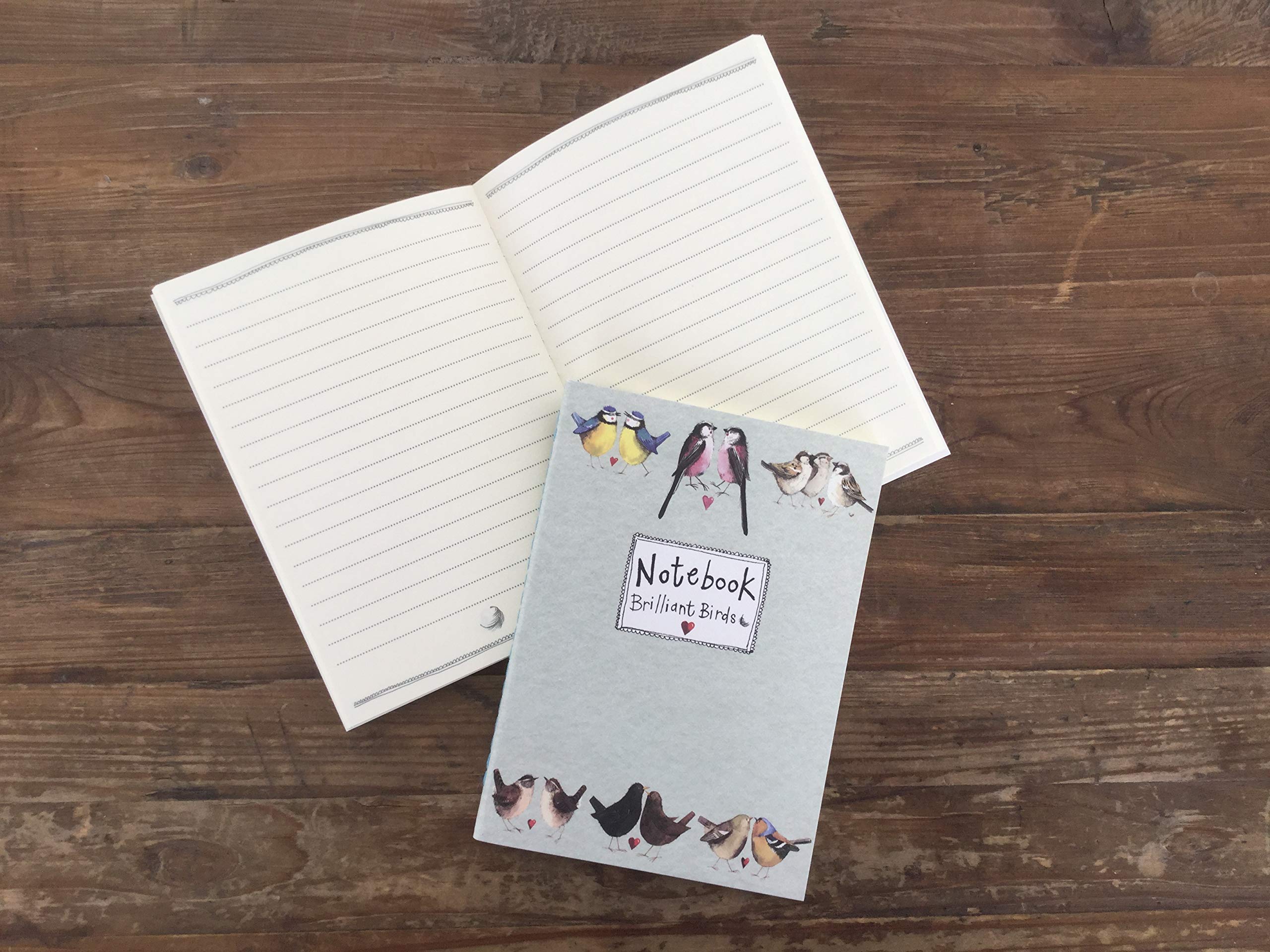 Alex Clark Brilliant Birds Medium Notebook - Bird Watching Notebook - Wildlife - Animals - For Him Or Her - Designed In The UK