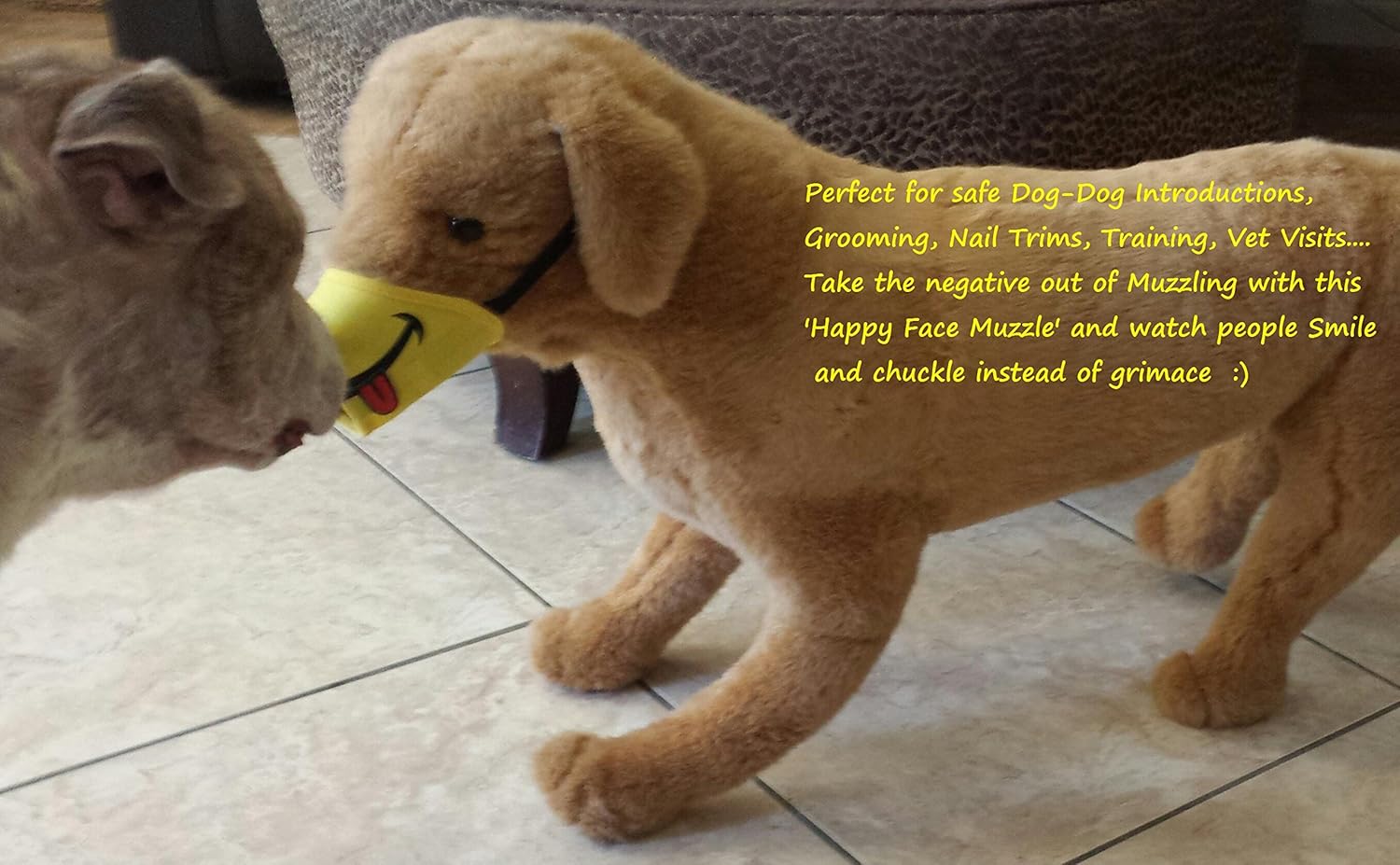happy muzzle