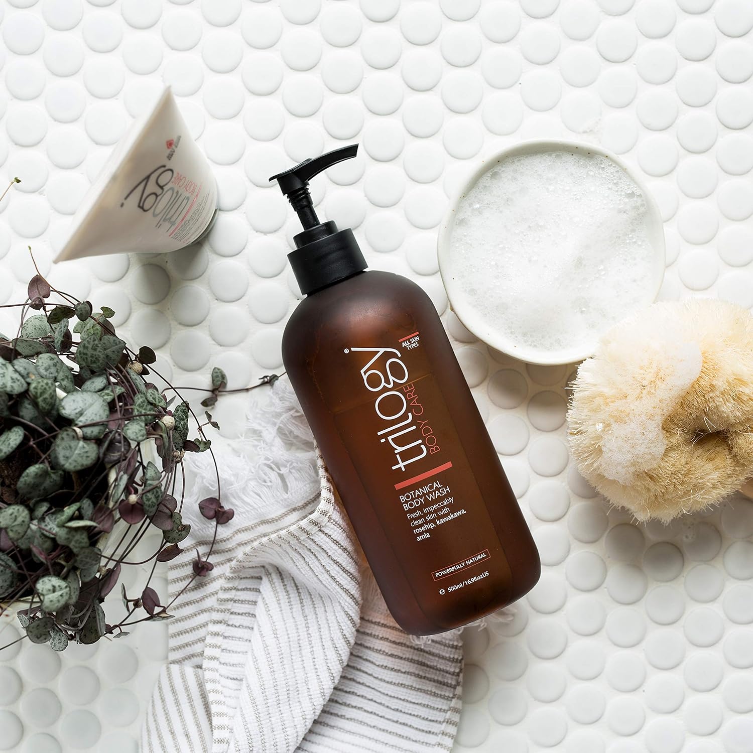 trilogy body care