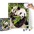 Schipper 609240712 Panda Bears Paint By Numbers Board