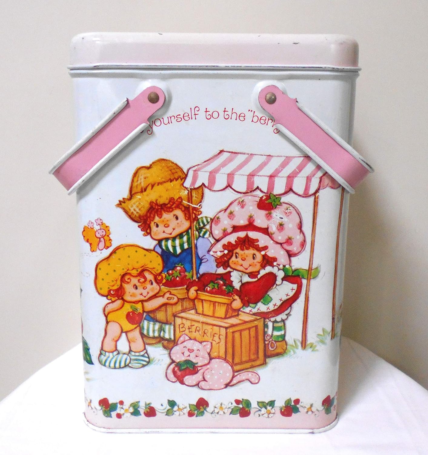 Amazon ストロベリー ショートケーキ Strawberry Shortcake 缶バスケット 取っ手付きキャニスター缶 American Greetings 19年 通販