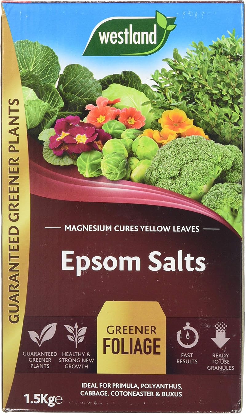 Westland 1.5 kg Epsom Salts Foliage Greener Fertilizer