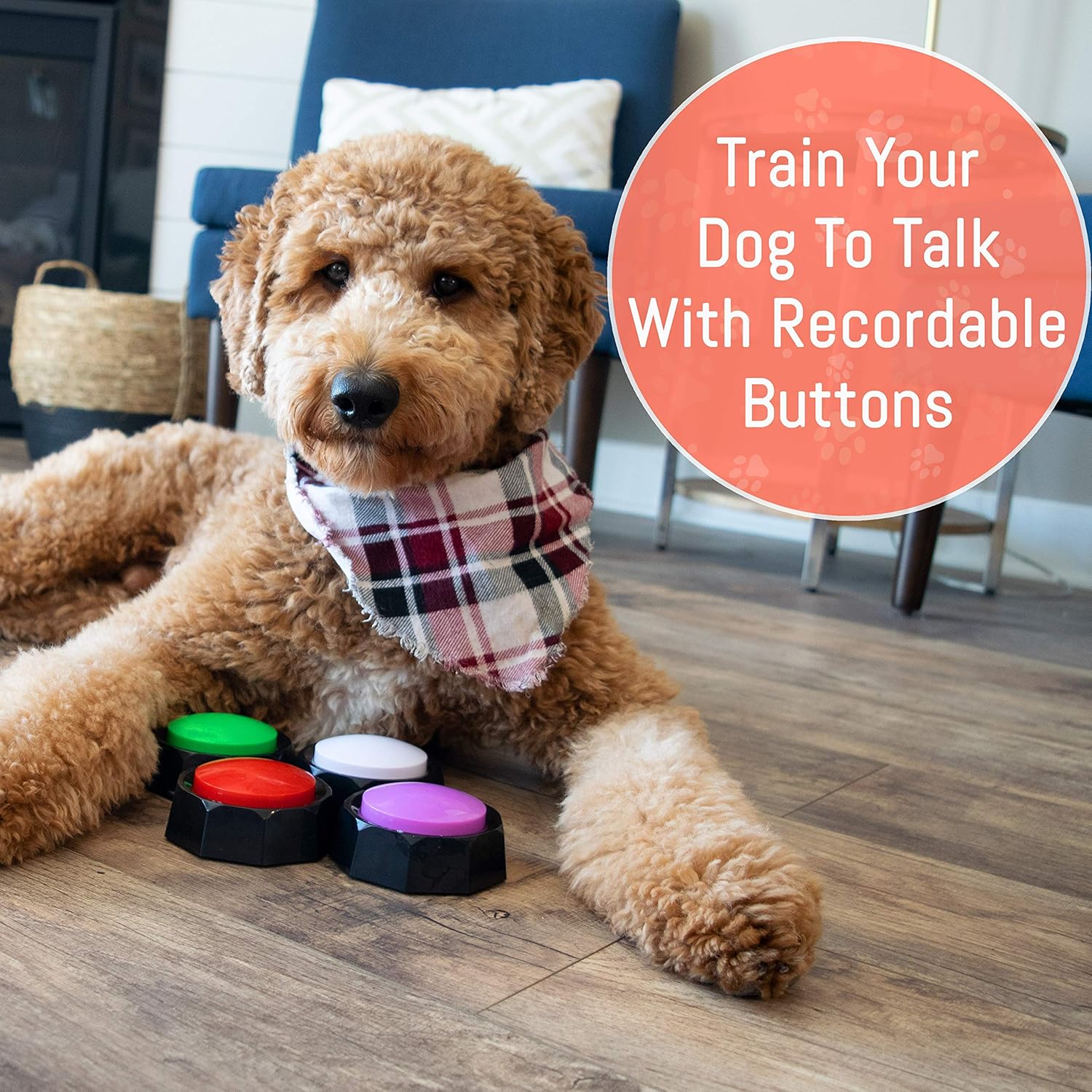Chip's Pet Stuff Recordable Training Buttons for Dogs - Record Any Sound to Enable Communication with Your Puppy - Set of 4 Can Also Be Used As Game Buzzers, Doggie Doorbells, Speech Aids, & More : Pet Supplies