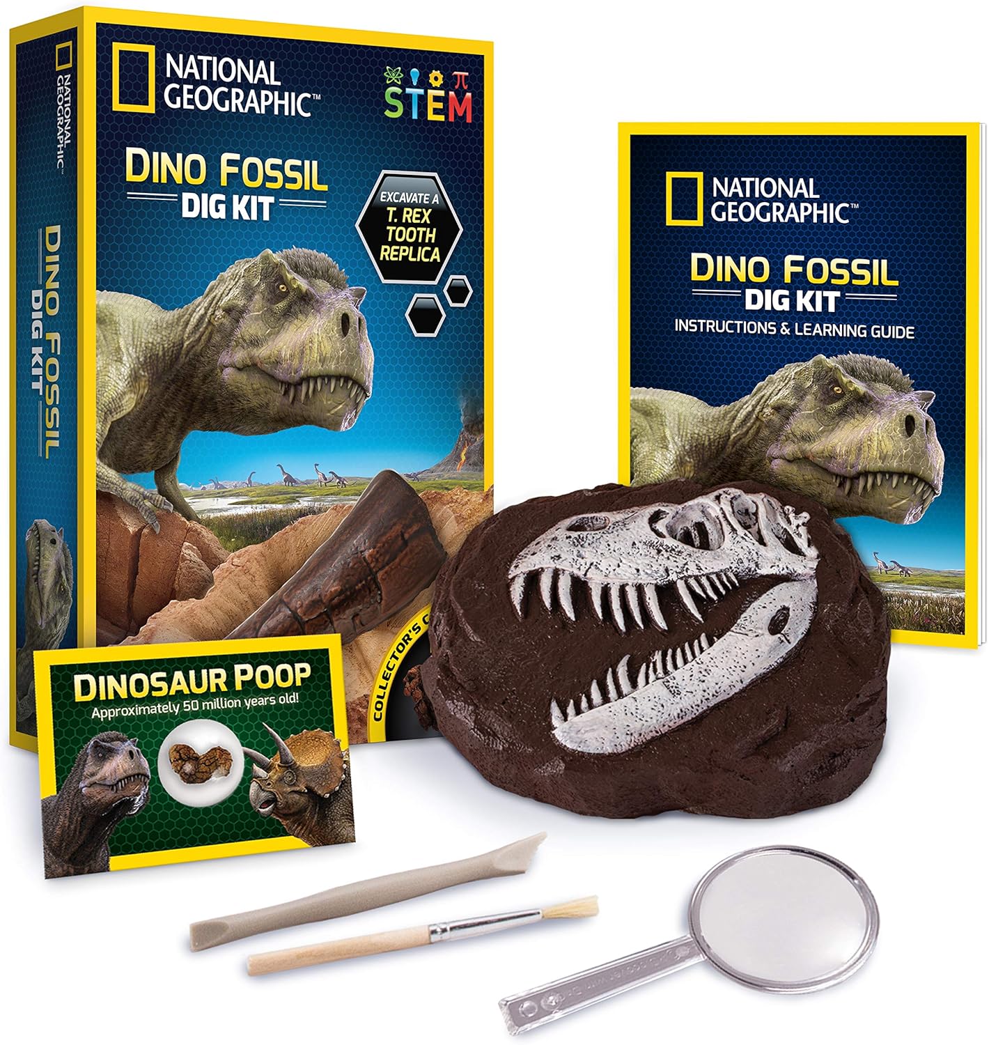 excavation dinosaur fossil kit
