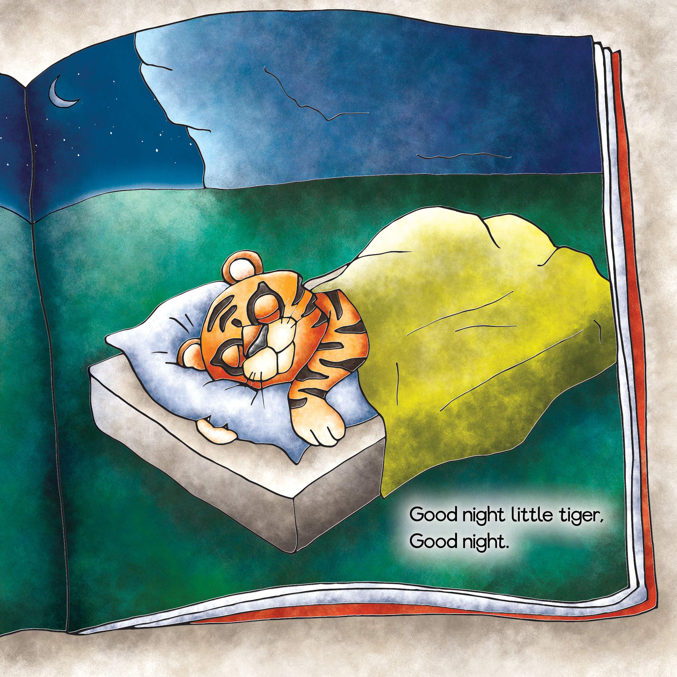 Good Night Little Turtle