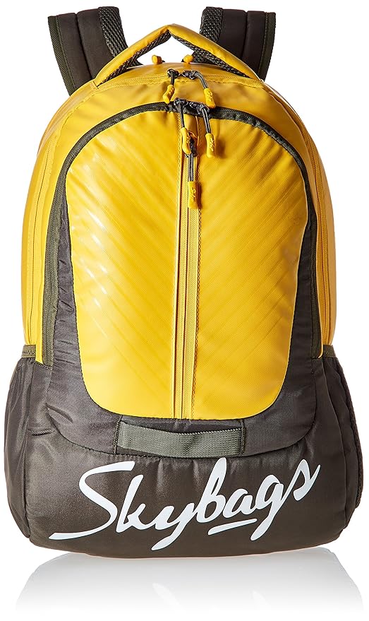 skybags 26 inches