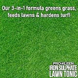 Pro-Kleen Lawn Tonic Liquid Iron Sulphate 5L - Grass Greener Fertiliser view 3
