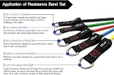 TheFitLife Resistance Bands Set 110lbs with Handles Door Anchor Ankle Straps view 4