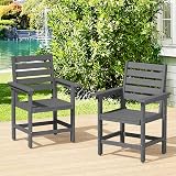 Compsia Outdoor Dining Chairs Set of 2, All Weather HDPS Patio Dining Chairs, Heavy Duty Outdoor Chair with Armrest for Backyard Deck Porch, Grey