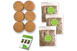 ZESTIGREENS Organic Indoor Cat Grass Kit - 3 Wooden Planters, Certified Seeds, and Premium Soil for Happy Cats. Delight Your Feline Friends with The Ultimate Cat Grass Experience! (Catgrass Refill Kit)