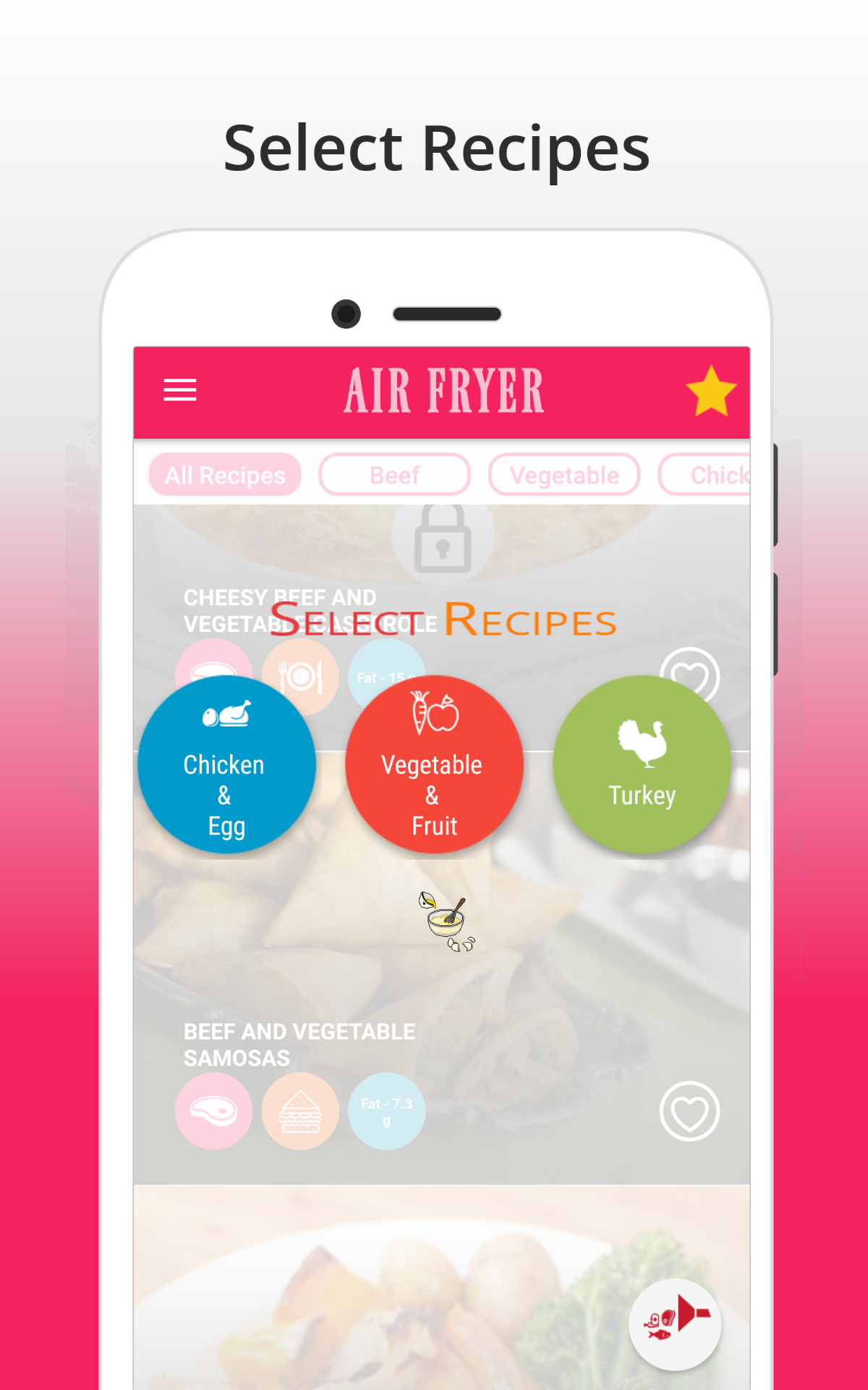 Healthy Air Fryer Cookbook 250+ Fatfree, Gluten Free, Light