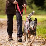 Halti Double Ended Lead for Dogs Large Purple 2m Neoprene Padded Reflective view 5