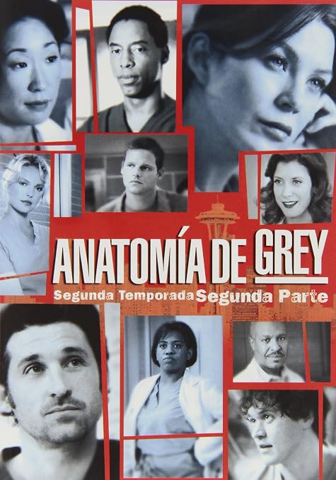 Anatomia De Grey Temporada 2 Castellano