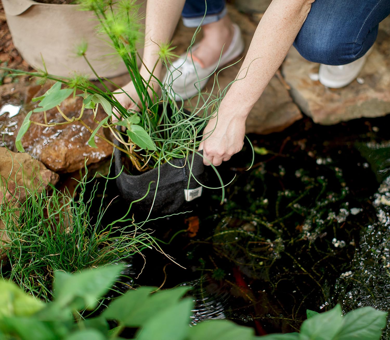 Smart Pots Pond Flexible Aquatic Plant Container for Water Gardening, 2