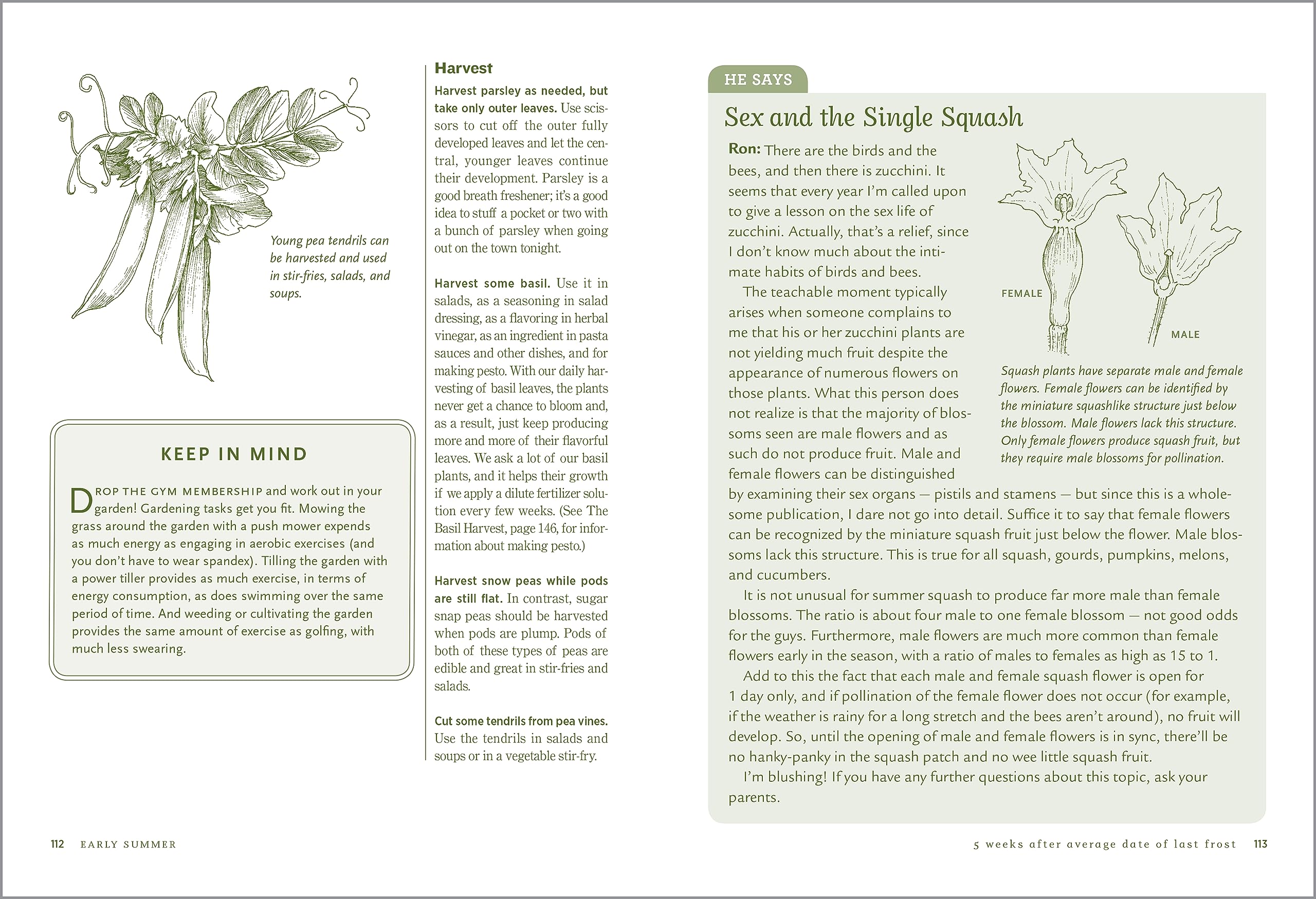 Week-by-Week Vegetable Gardener's Handbook: Perfectly Timed Gardening for Your Most Bountiful Harvest Ever Jan 8, 2011