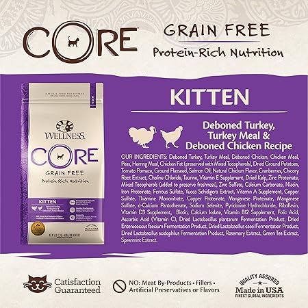 Wellness Core Natural Grain Free Dry Cat Food, Kitten Turkey & Chicken Recipe, 2-Pound Bag